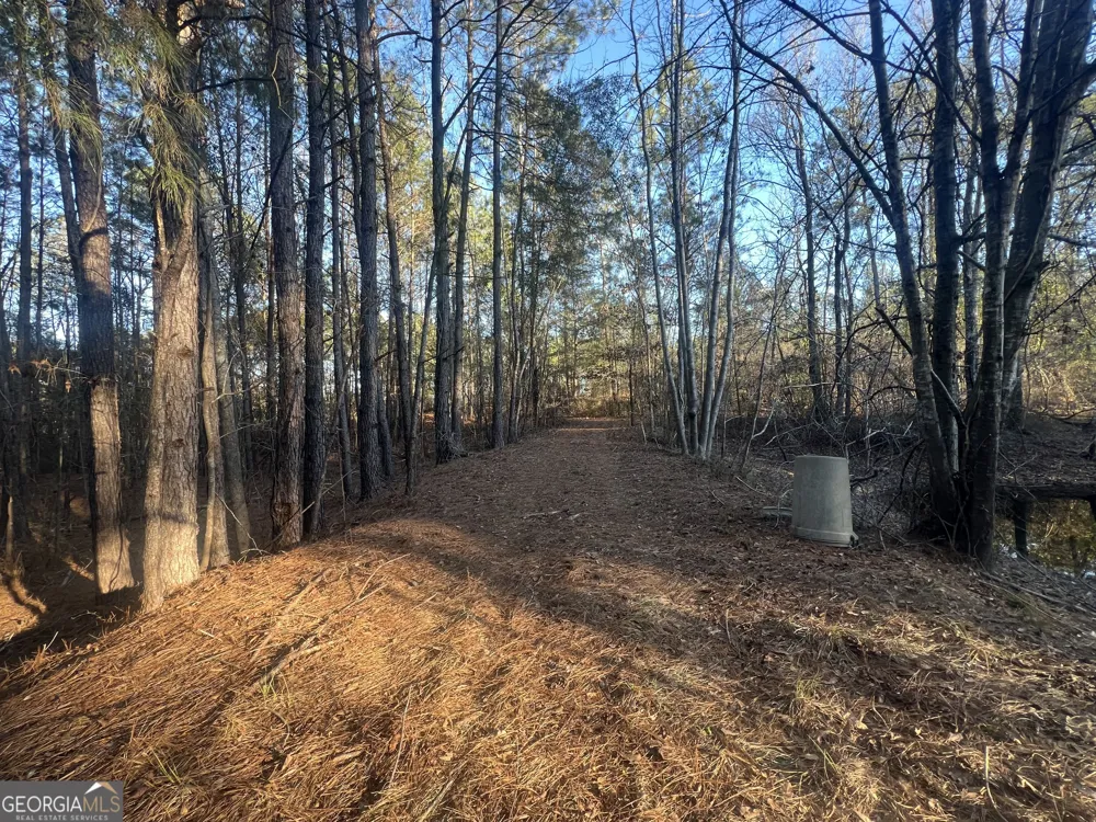 22701 S Highway 129 Cobbtown, GA 30420