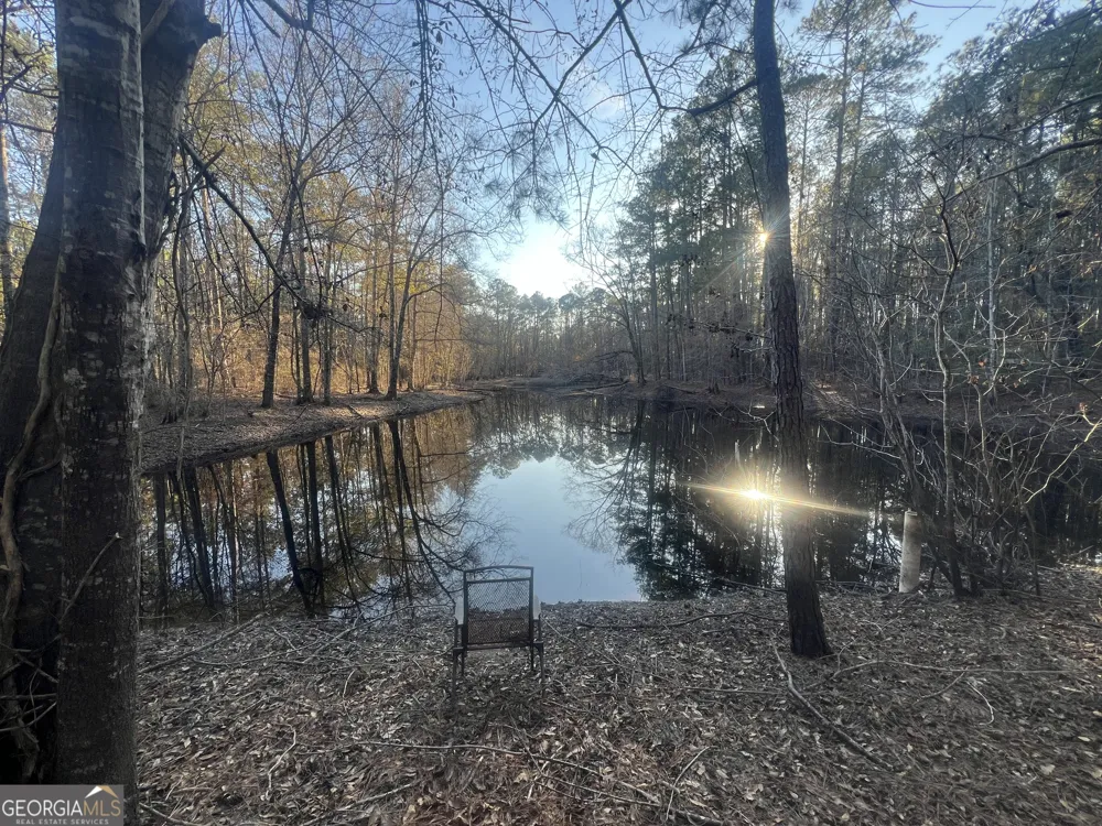 22701 S Highway 129 Cobbtown, GA 30420