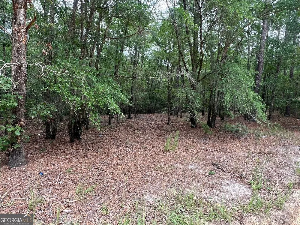 LOT 26 Lane RD Statesboro, GA 30461
