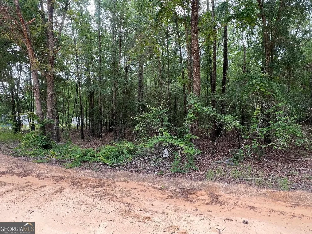 LOT 26 Lane RD Statesboro, GA 30461