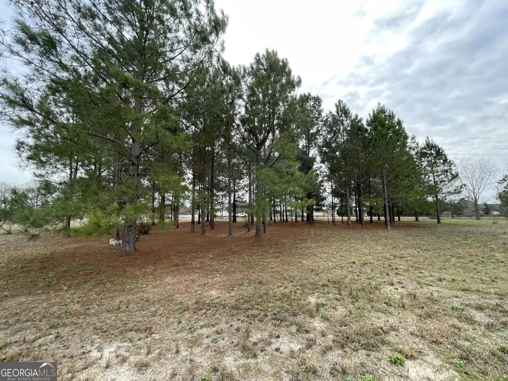 141 James English RD Cochran, GA 31014