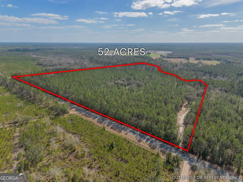 TRACT 1 - 12321 Highway 185 St. George, GA 31562