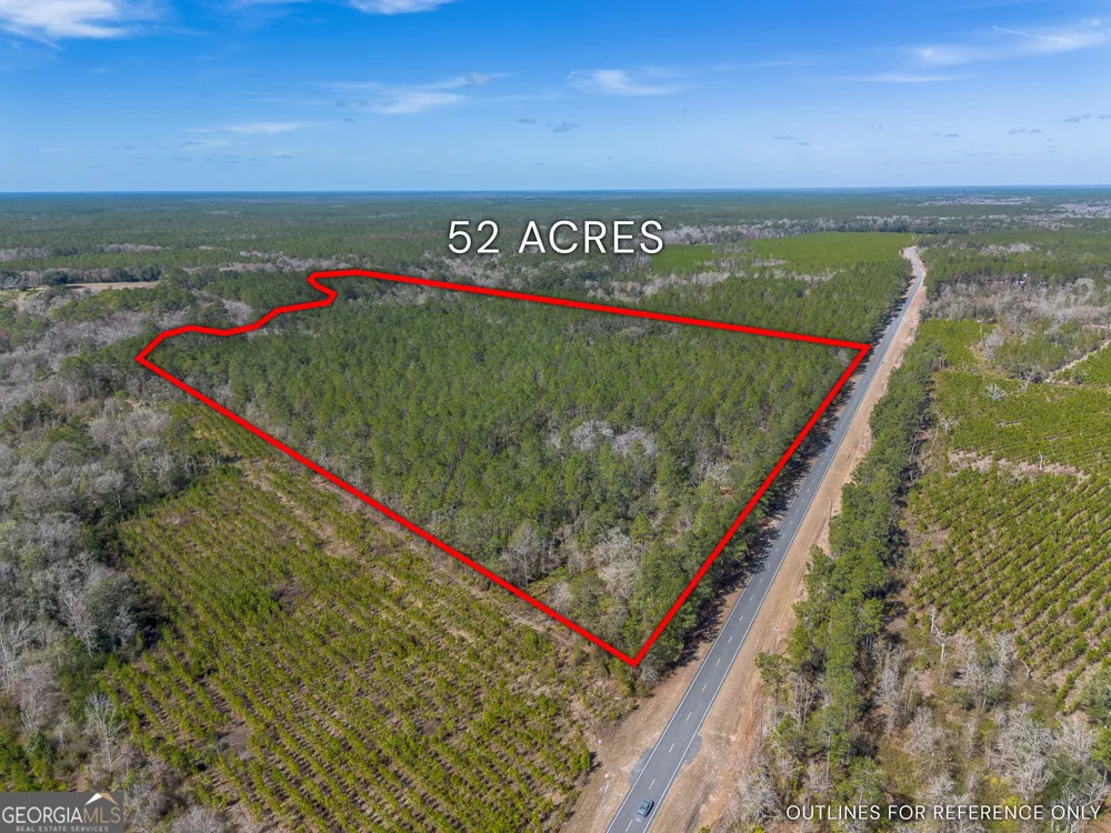 TRACT 1 - 12321 Highway 185 St. George, GA 31562