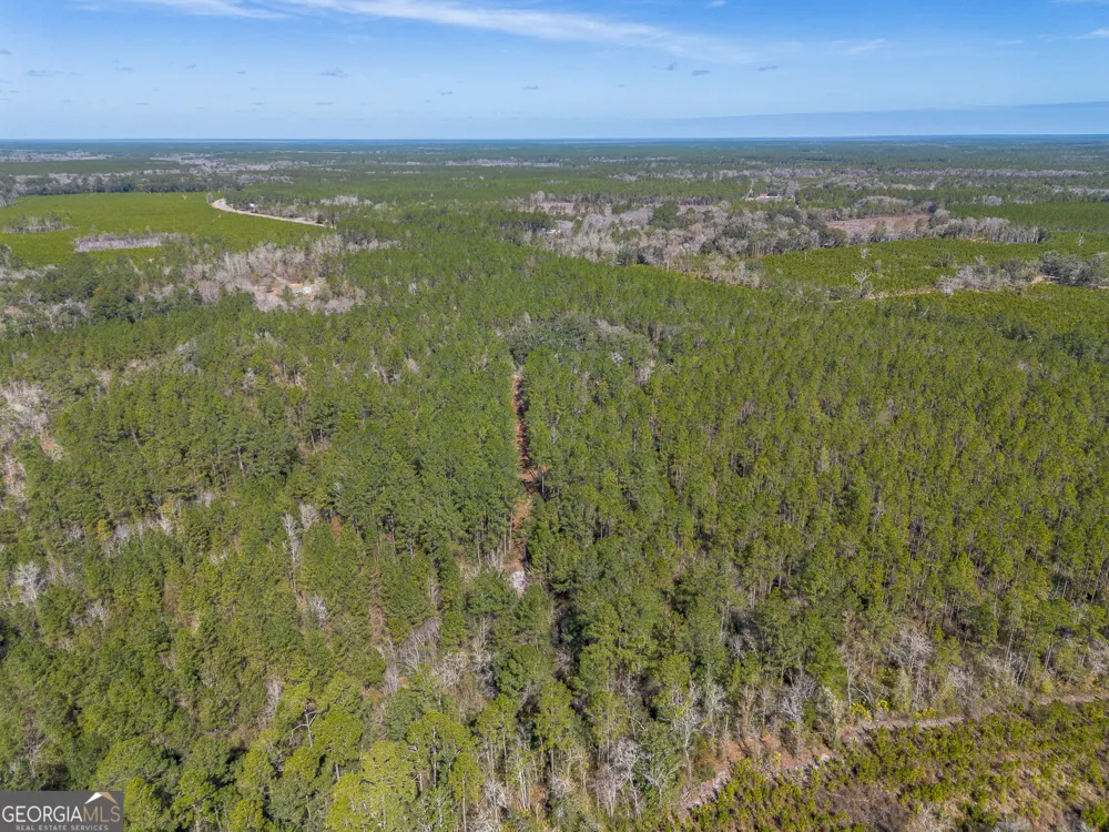 TRACT 1 - 12321 Highway 185 St. George, GA 31562