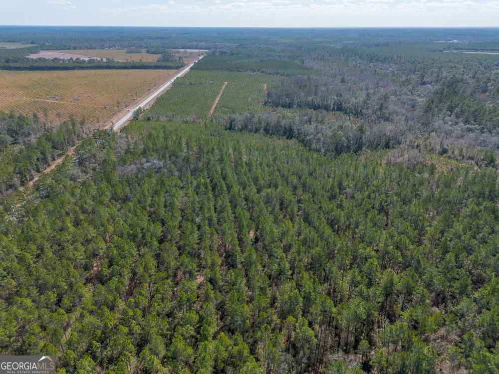 TRACT 1 - 12321 Highway 185 St. George, GA 31562
