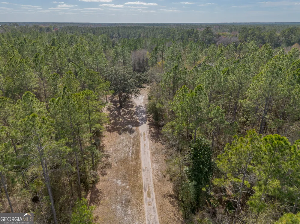 TRACT 1 - 12321 Highway 185 St. George, GA 31562