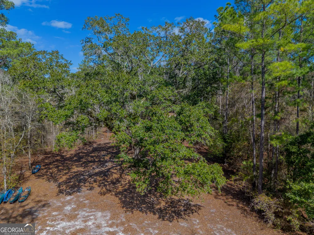 TRACT 1 - 12321 Highway 185 St. George, GA 31562