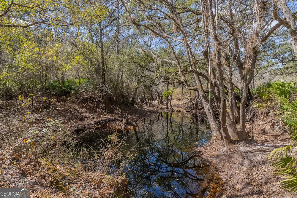 TRACT 1 - 12321 Highway 185 St. George, GA 31562