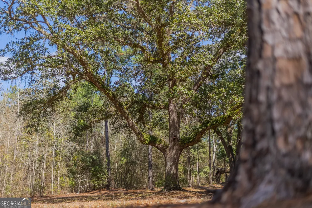 TRACT 1 - 12321 Highway 185 St. George, GA 31562