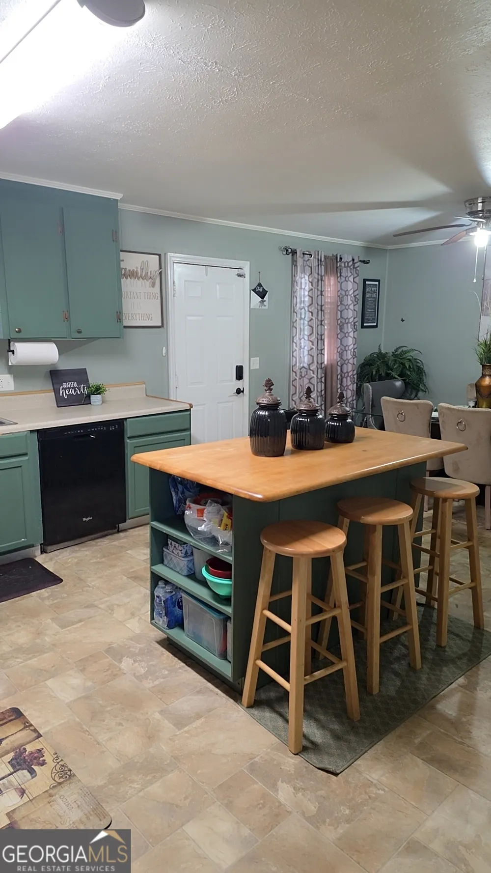 293 Williams ST NE Pelham, GA 31779