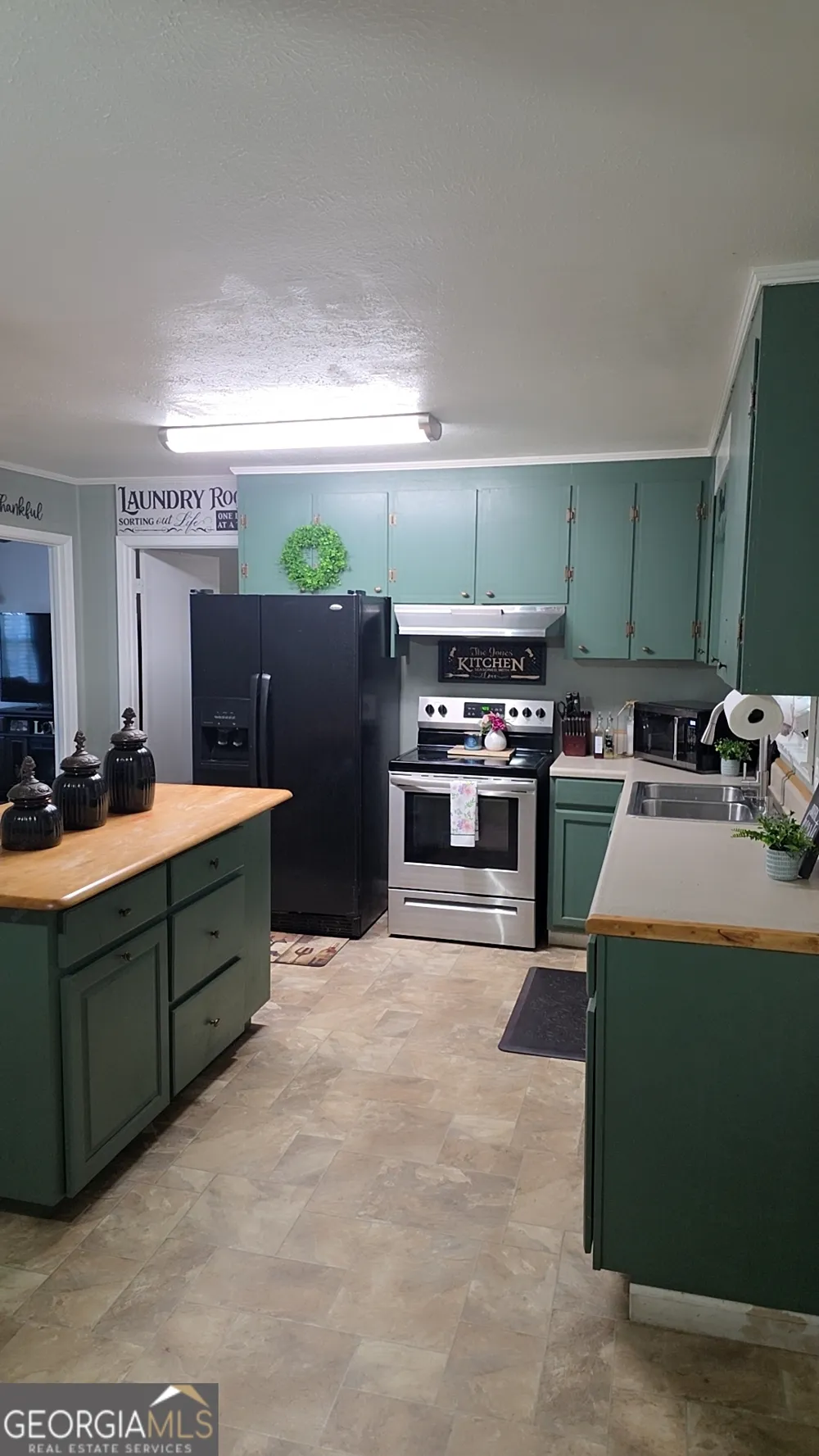 293 Williams ST NE Pelham, GA 31779