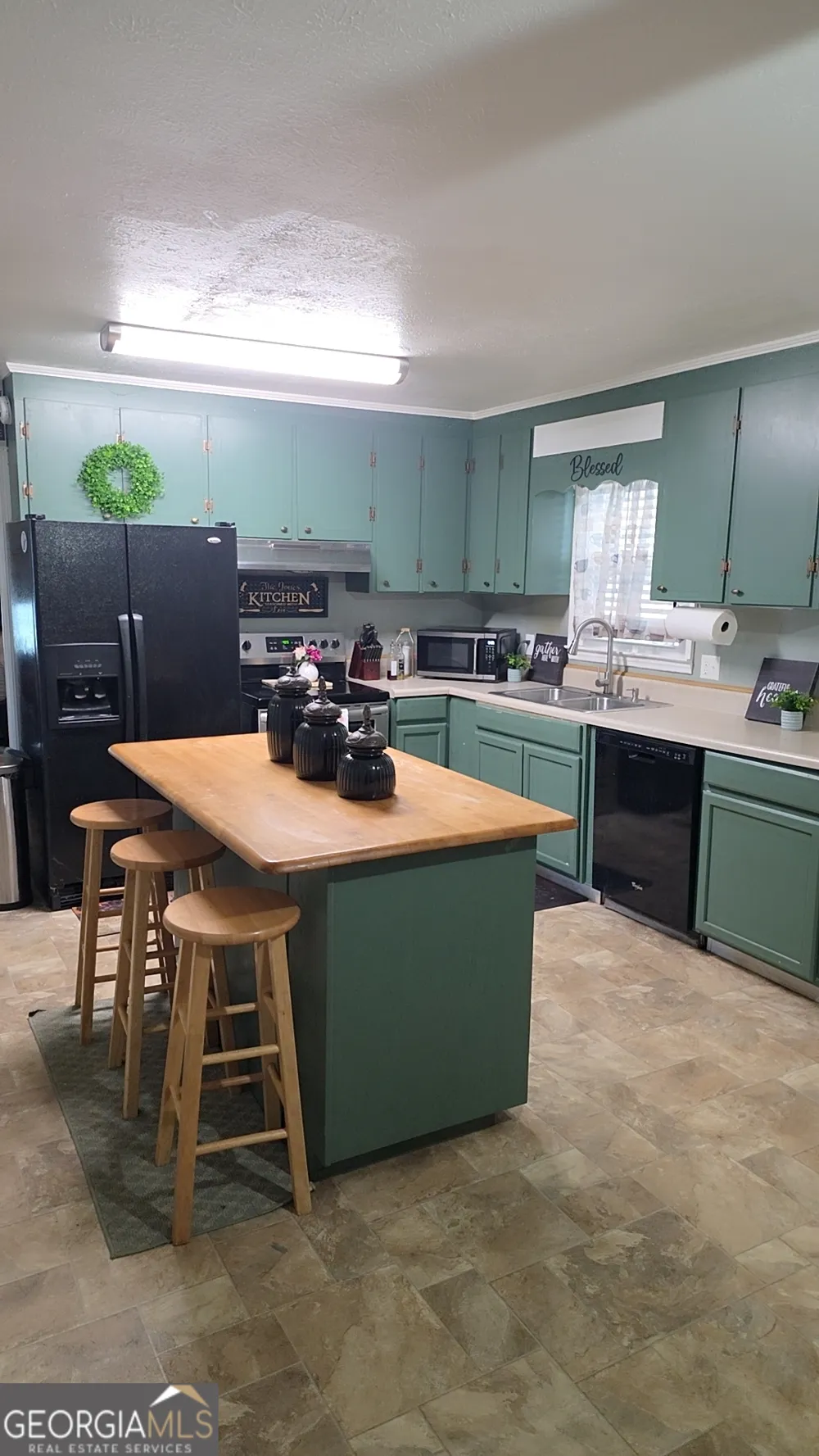293 Williams ST NE Pelham, GA 31779