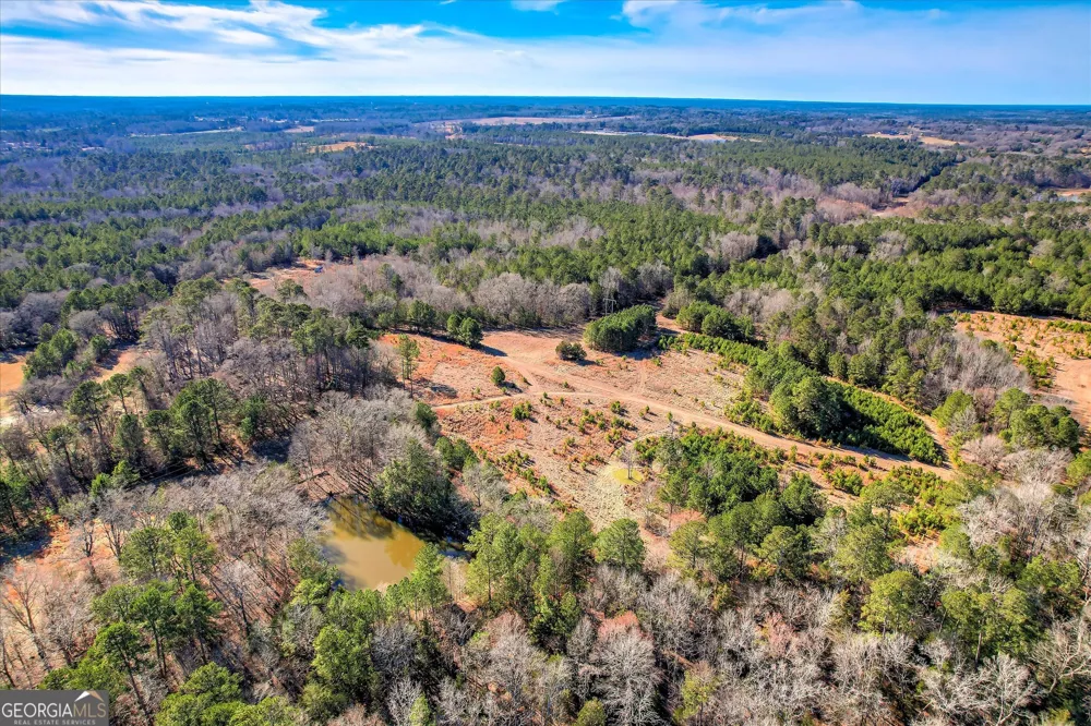1138 Ben LN Lincolnton, GA 30817