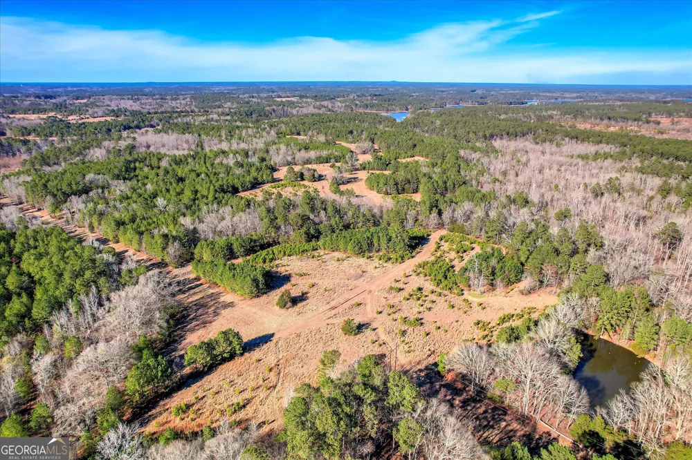 1138 Ben LN Lincolnton, GA 30817