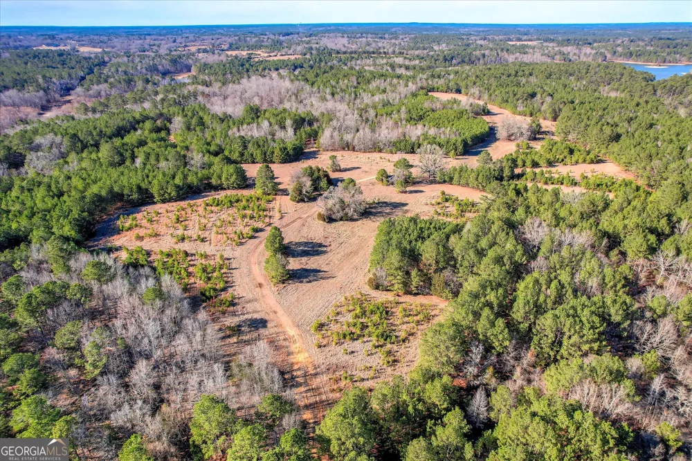 1138 Ben LN Lincolnton, GA 30817