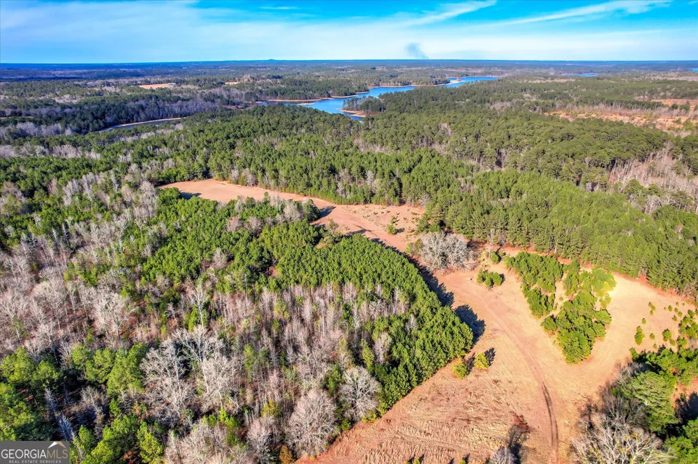1138 Ben LN Lincolnton, GA 30817