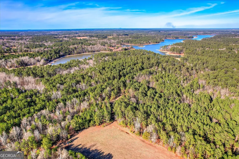 1138 Ben LN Lincolnton, GA 30817