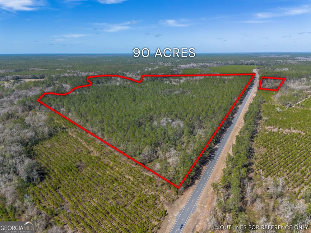 12321 Highway 185 St. George, GA 31562