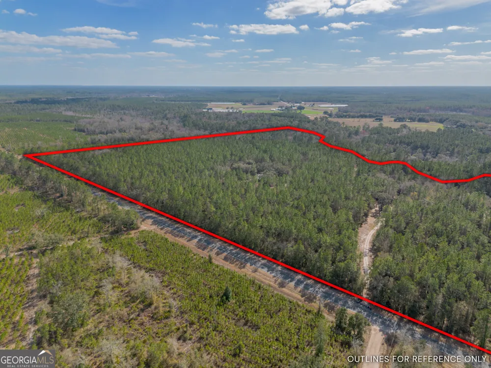 12321 Highway 185 St. George, GA 31562
