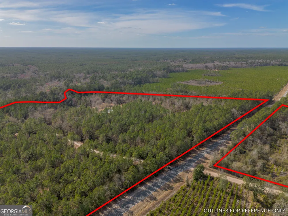 12321 Highway 185 St. George, GA 31562