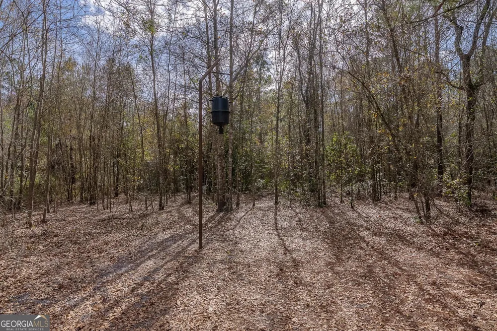 12321 Highway 185 St. George, GA 31562