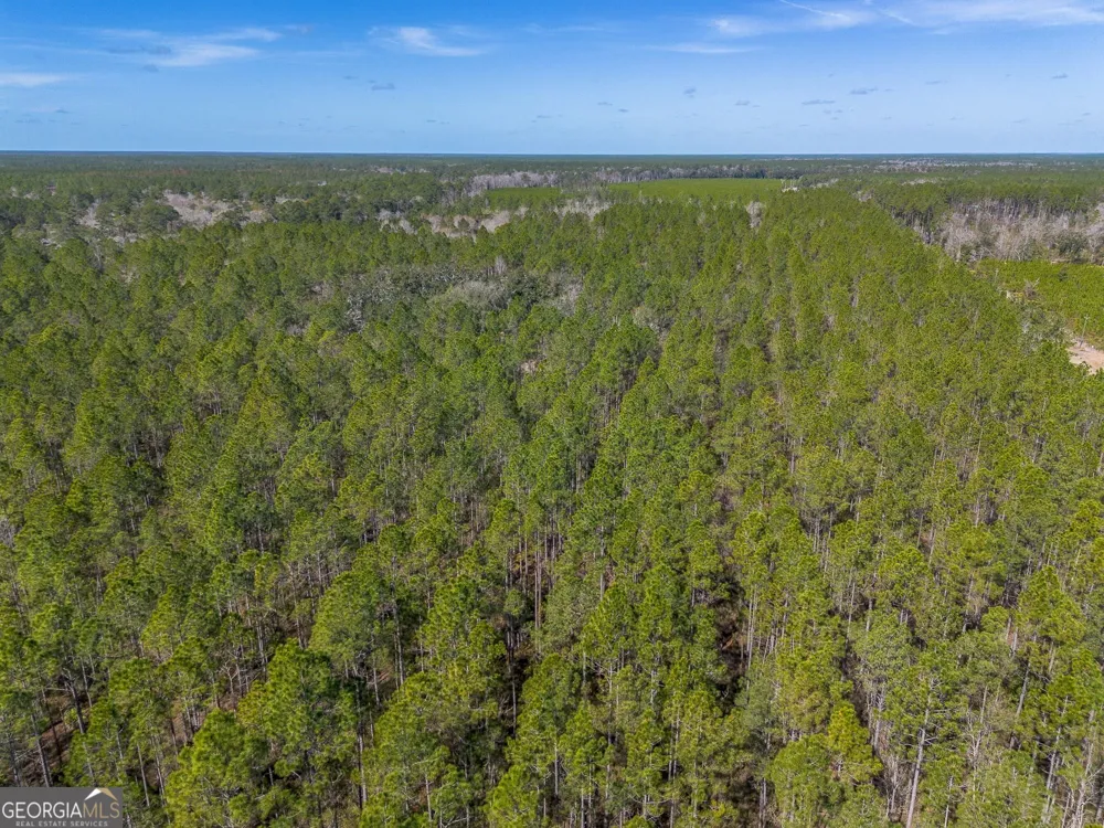 12321 Highway 185 St. George, GA 31562