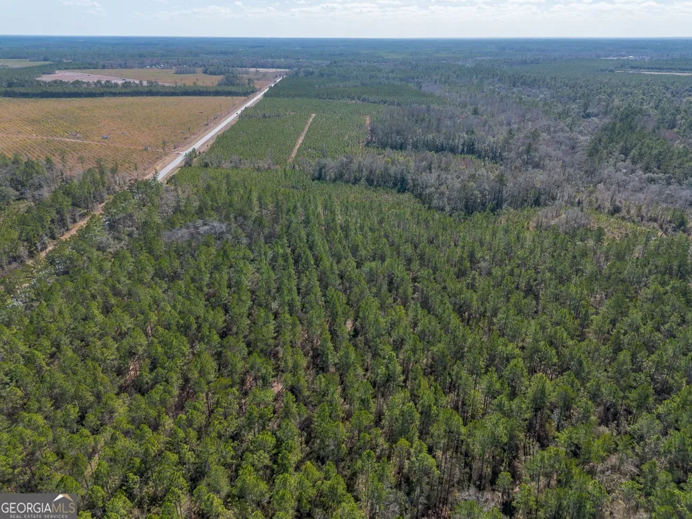 12321 Highway 185 St. George, GA 31562