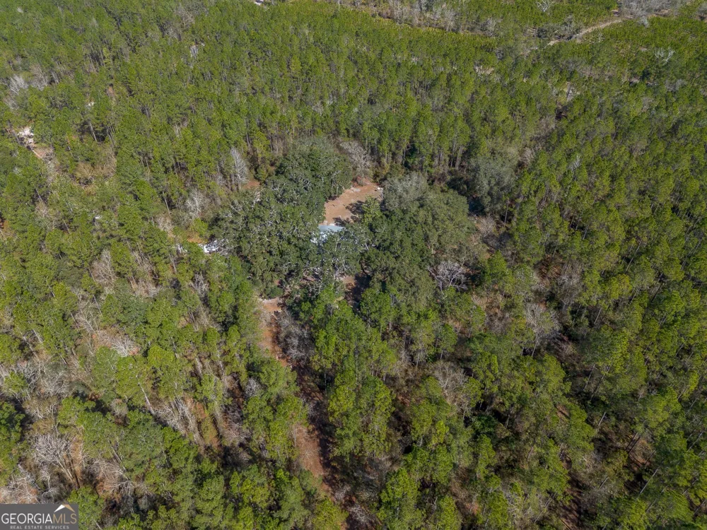 12321 Highway 185 St. George, GA 31562