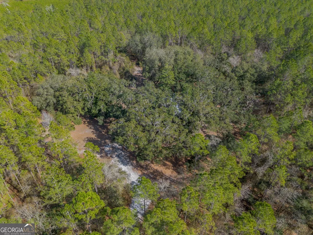 12321 Highway 185 St. George, GA 31562