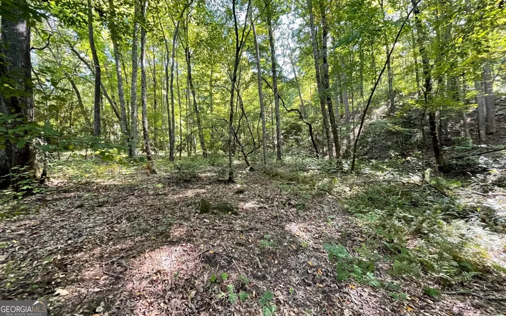 LOT 22 High Meadows Hayesville, NC 28904