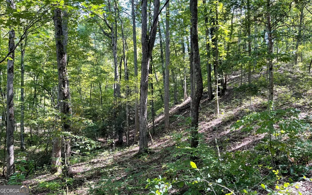 LOT 22 High Meadows Hayesville, NC 28904