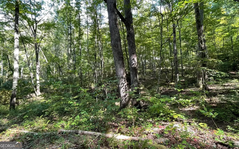 LOT 22 High Meadows Hayesville, NC 28904