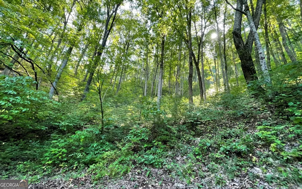 LOT 22 High Meadows Hayesville, NC 28904