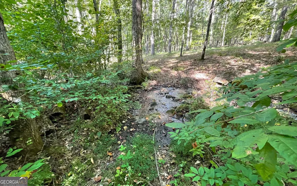 LOT 22 High Meadows Hayesville, NC 28904