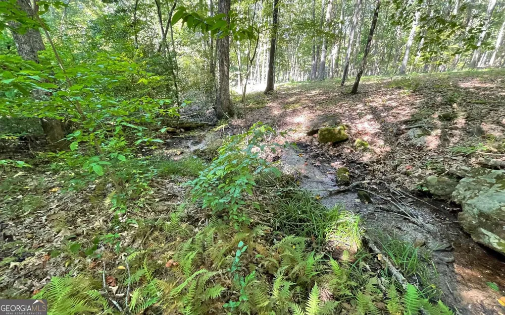 LOT 22 High Meadows Hayesville, NC 28904