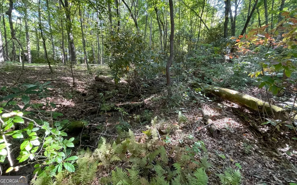 LOT 22 High Meadows Hayesville, NC 28904