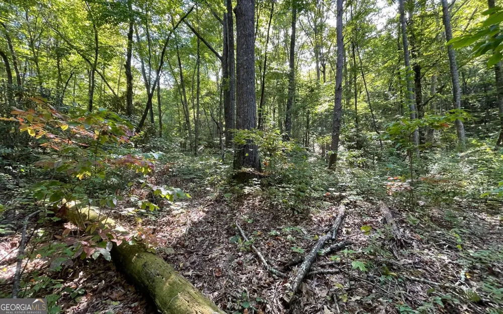 LOT 22 High Meadows Hayesville, NC 28904