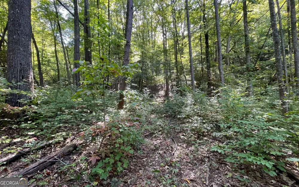 LOT 22 High Meadows Hayesville, NC 28904