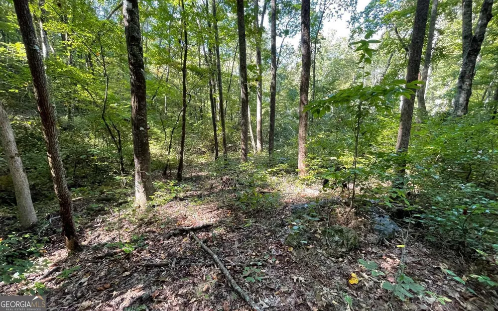 LOT 22 High Meadows Hayesville, NC 28904