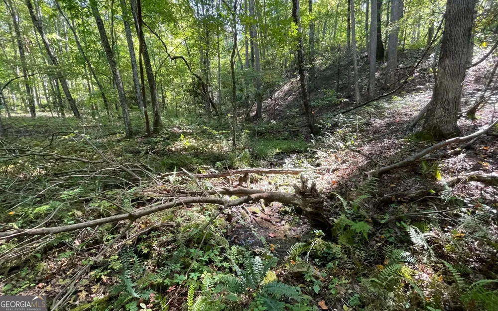 LOT 22 High Meadows Hayesville, NC 28904