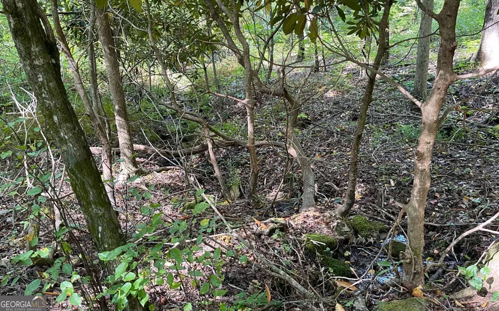 LOT 22 High Meadows Hayesville, NC 28904