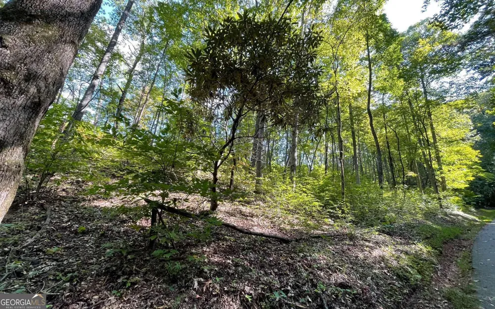 LOT 22 High Meadows Hayesville, NC 28904