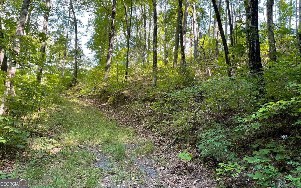 LOT 22 High Meadows Hayesville, NC 28904