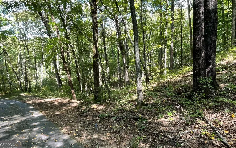 LOT 22 High Meadows Hayesville, NC 28904