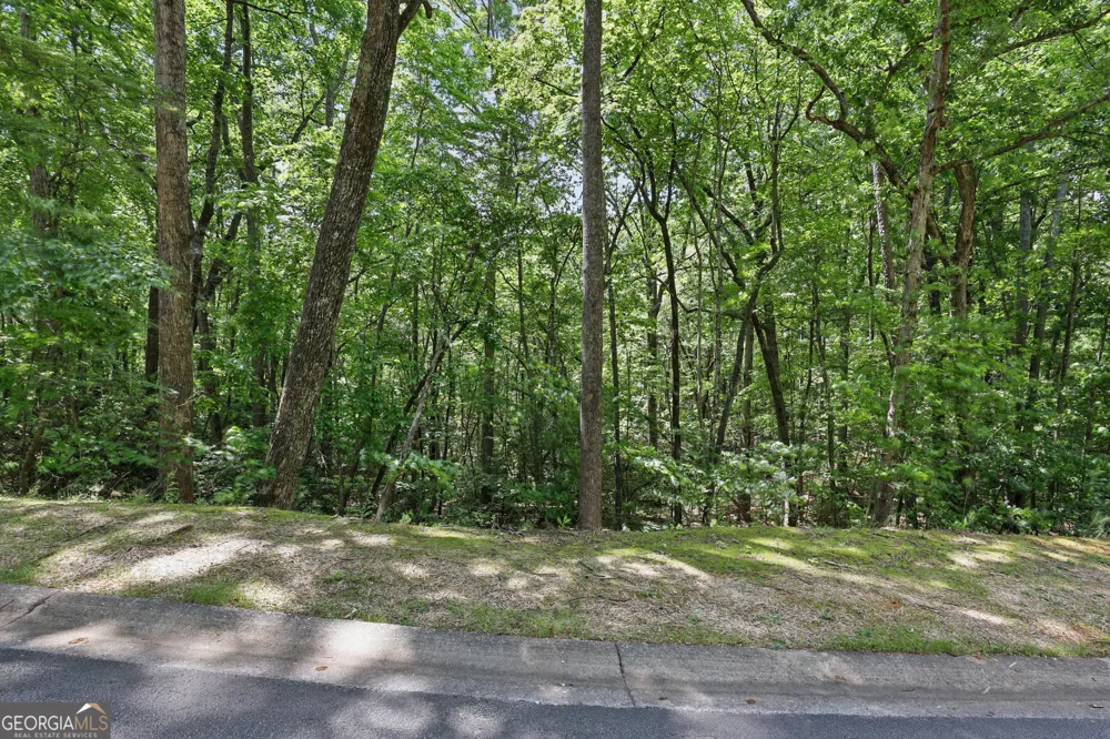 0 Plum LN Clarkesville, GA 30523
