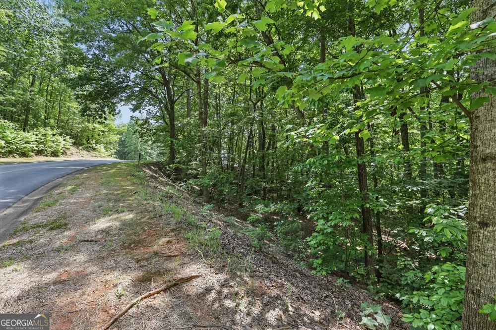 0 Plum LN Clarkesville, GA 30523