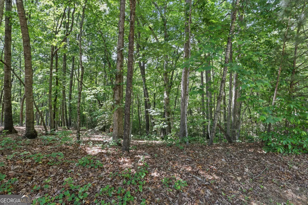 0 Plum LN Clarkesville, GA 30523