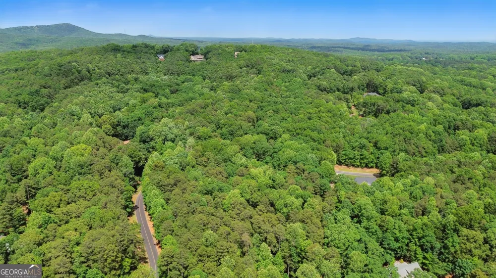 0 Plum LN Clarkesville, GA 30523