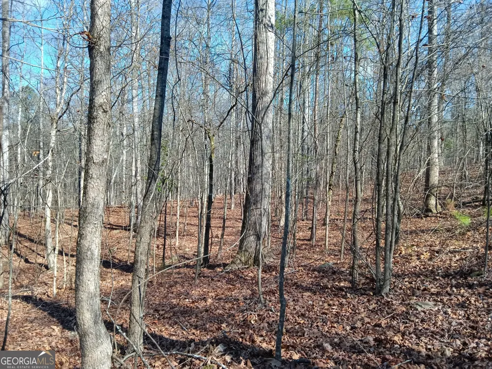 TRACT 4 Rivers RD Fayetteville, GA 30214
