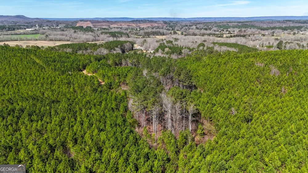 0 Highway 100 Summerville, GA 30747